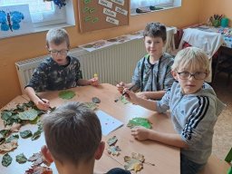 podzimni motyl4